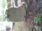 image of grave number 603275